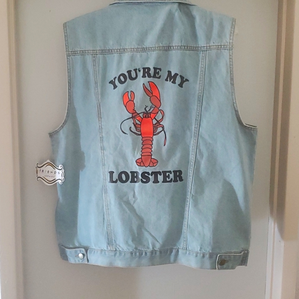 FRIENDS Denim vest. Never worn. Size Men L
